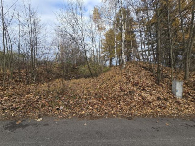 Działka budowlana - Brzękowice-Wał  -
Śląskie Zdjęcie nr 6