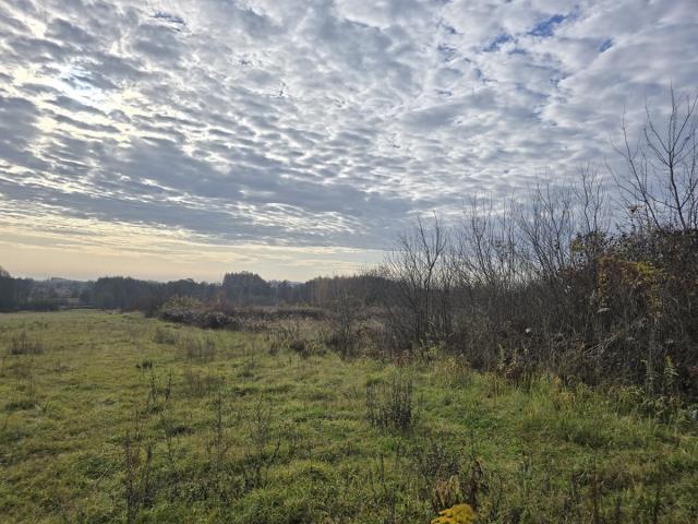 Działka rolno-budowlana - Goląsza  -
Śląskie Zdjęcie nr 1