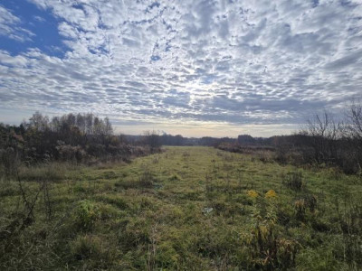 Działka rolno-budowlana - Goląsza  -
Śląskie Zdjęcie nr 3