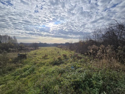 Działka rolno-budowlana - Goląsza  -
Śląskie Zdjęcie nr 6