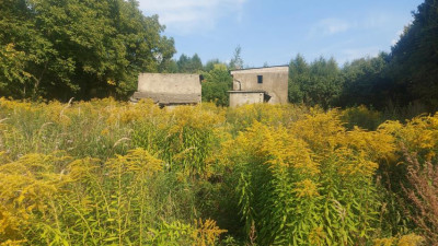 Działka budowlana - Siemonia  -
Śląskie Zdjęcie nr 2
