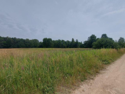 Działka budowlana - Ożarowice  -
Śląskie Zdjęcie nr 2