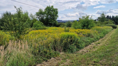 Działka budowlana - Grodków  -
Śląskie Zdjęcie nr 3