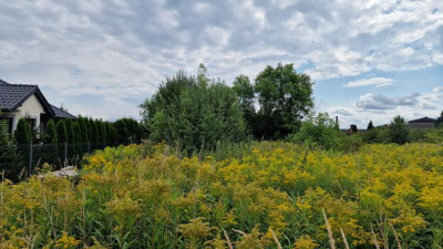 Działka budowlana - Grodków  -
Śląskie Zdjęcie nr 9