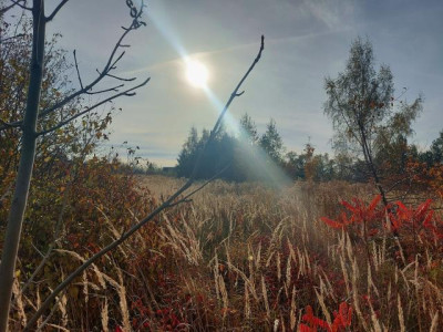 Działka budowlana - Wysoka  - Śląskie