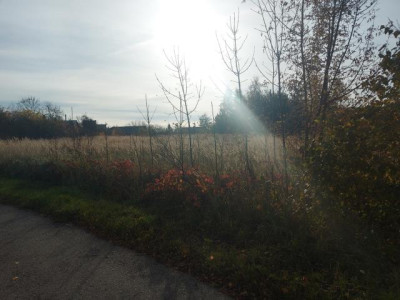 Działka budowlana - Wysoka  -
Śląskie Zdjęcie nr 2