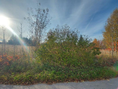 Działka budowlana - Wysoka  -
Śląskie Zdjęcie nr 4