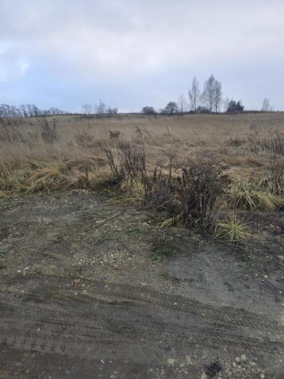 Działka rolno-budowlana - Psary  -
Śląskie Zdjęcie nr 4
