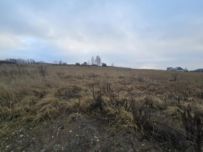 Działka rolno-budowlana - Psary  -
Śląskie Zdjęcie nr 6