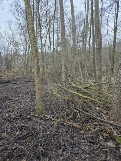 Działka budowlana - Będzin Łagisza  -
Śląskie Zdjęcie nr 4