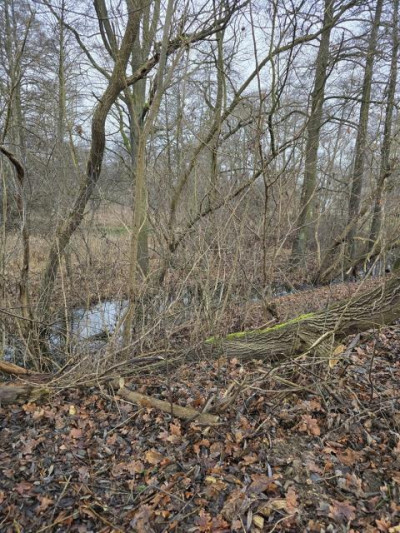 Działka budowlana - Będzin Łagisza  -
Śląskie Zdjęcie nr 7