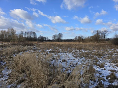 Działka rolno-budowlana - Niegowoniczki  -
Śląskie Zdjęcie nr 2