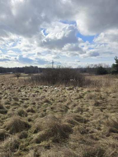 Działka budowlana - Niegowoniczki  -
Śląskie Zdjęcie nr 7