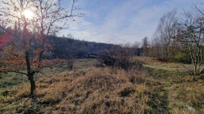 Działka budowlana - Sikorka  - Śląskie