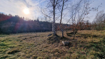 Działka budowlana - Sikorka  -
Śląskie Zdjęcie nr 3