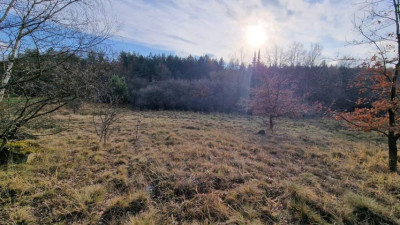 Działka budowlana - Sikorka  -
Śląskie Zdjęcie nr 4