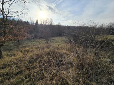 Działka budowlana - Sikorka  -
Śląskie Zdjęcie nr 6