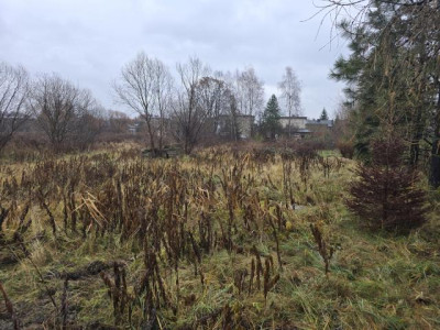 Działka budowlana - Malinowice  -
Śląskie Zdjęcie nr 2