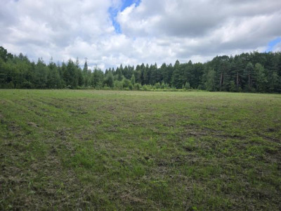 Działka rolno-budowlana - Łosień  -
Śląskie Zdjęcie nr 4