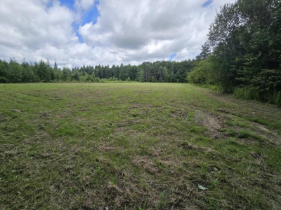 Działka rolno-budowlana - Łosień  -
Śląskie Zdjęcie nr 5