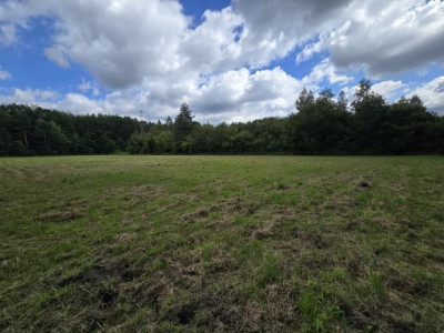 Działka rolno-budowlana - Łosień  -
Śląskie Zdjęcie nr 6