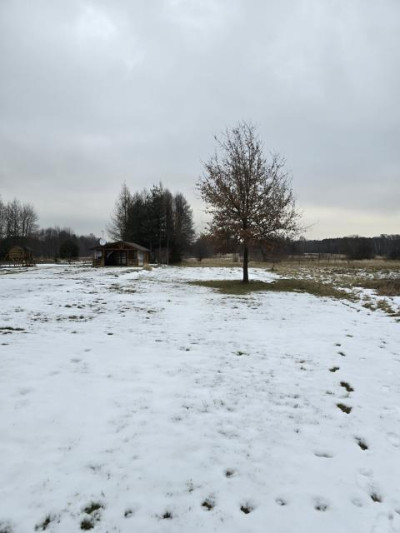 Działka rolno-budowlana - Zendek  -
Śląskie Zdjęcie nr 2