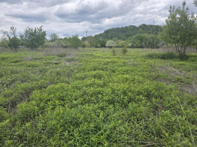 Działka budowlana - Wojkowice  -
Śląskie Zdjęcie nr 2