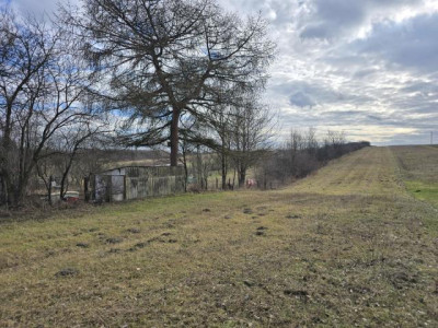 Działka rolno-budowlana - Przeczyce  -
Śląskie Zdjęcie nr 14