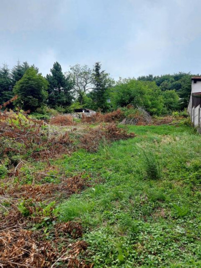 Działka budowlana - Będzin Grodziec  -
Śląskie Zdjęcie nr 3