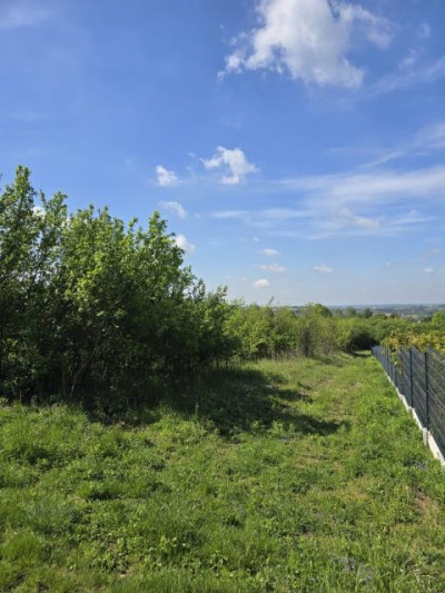 Działka budowlana - Rogoźnik  -
Śląskie Zdjęcie nr 8