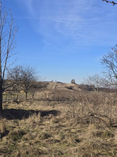 Działka rolno-budowlana - Nowa Wieś  -
Śląskie Zdjęcie nr 2