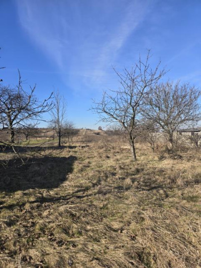 Działka rolno-budowlana - Nowa Wieś  -
Śląskie Zdjęcie nr 3