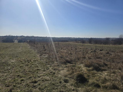 Działka rolno-budowlana - Sadowie  -
Śląskie Zdjęcie nr 2