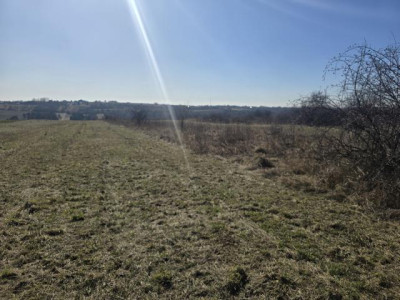 Działka rolno-budowlana - Sadowie  -
Śląskie Zdjęcie nr 3