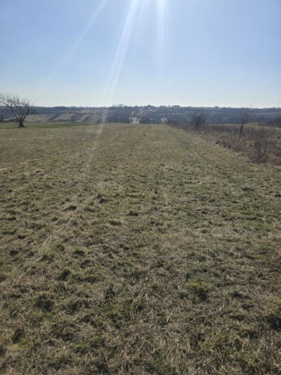 Działka rolno-budowlana - Sadowie  -
Śląskie Zdjęcie nr 4