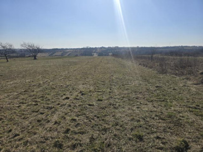 Działka rolno-budowlana - Sadowie  -
Śląskie Zdjęcie nr 5