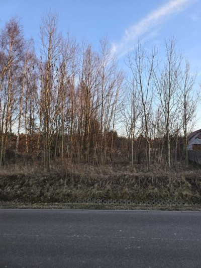 Działka rolno-budowlana - Malinowice  -
Śląskie Zdjęcie nr 3