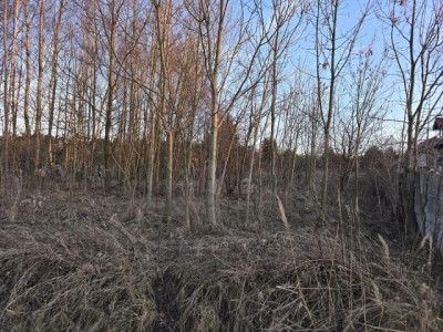 Działka rolno-budowlana - Malinowice  -
Śląskie Zdjęcie nr 5