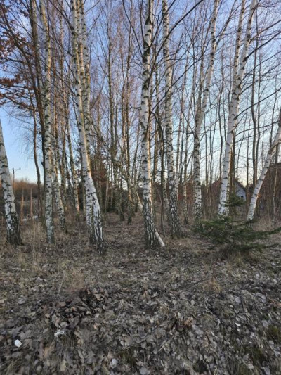 Działka rolno-budowlana - Malinowice  -
Śląskie Zdjęcie nr 7