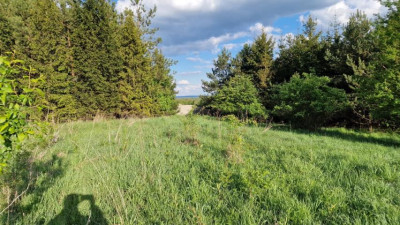 Działka budowlana - Sadowie  -
Śląskie Zdjęcie nr 2