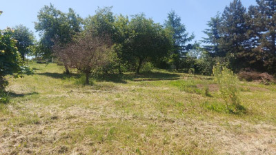 Działka budowlana - Sadowie  -
Śląskie Zdjęcie nr 5