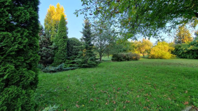 Działka budowlana - Wysoka  - Śląskie