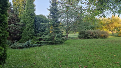 Działka budowlana - Wysoka  -
Śląskie Zdjęcie nr 4