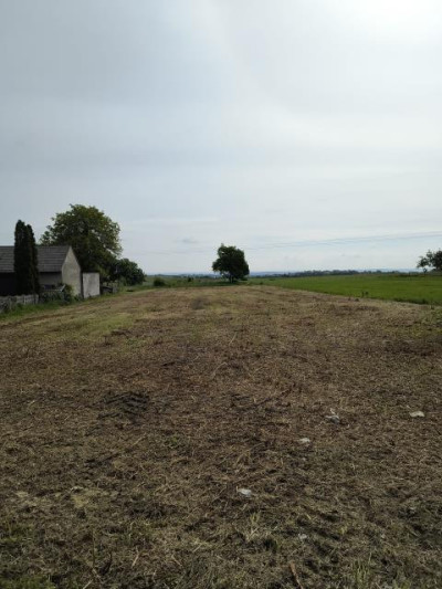 Działka budowlana - Nowa Wieś  -
Śląskie Zdjęcie nr 2