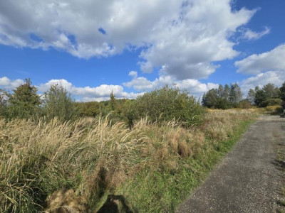 Działka budowlana - Preczów  -
Śląskie Zdjęcie nr 11