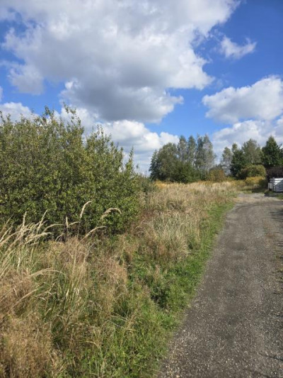 Działka budowlana - Preczów  -
Śląskie Zdjęcie nr 3