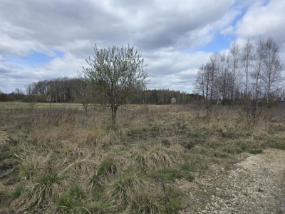 Działka budowlana - Preczów  -
Śląskie Zdjęcie nr 2