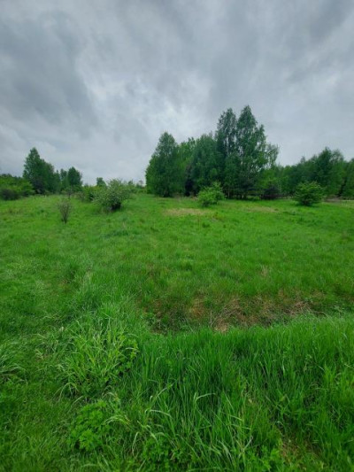 Działka budowlana - Sadowie  -
Śląskie Zdjęcie nr 6