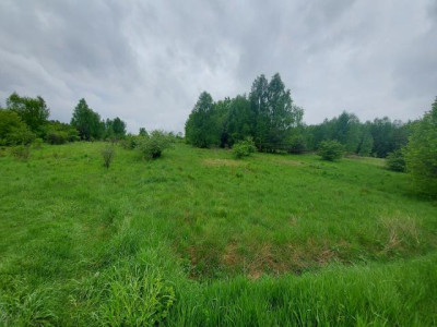 Działka budowlana - Sadowie  -
Śląskie Zdjęcie nr 7