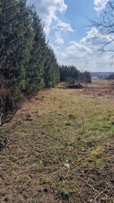 Działka budowlana - Sadowie  - Śląskie